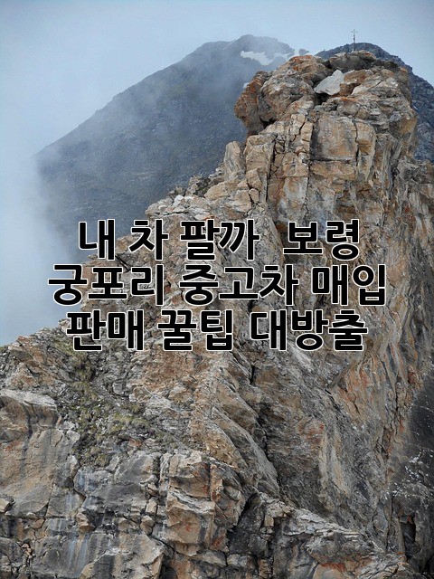 115f9c9d081a47c2cdc5b20ce312894a.jpg