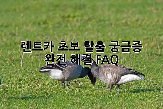 63f4315d8c91a53c19afd258fa78d22a.jpg