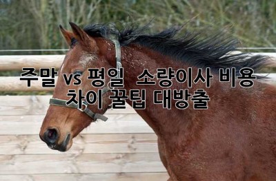 주말 vs 평일 🚚 소량이사 비용 차이, 꿀팁 대방출!