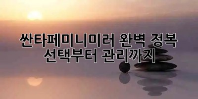 🚗 싼타페미니미러 완벽 정복! 선택부터 관리까지 😎