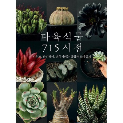 🌵 다육식물715 솔직 후기! 놓치면 후회할 꿀팁 대방출 💰