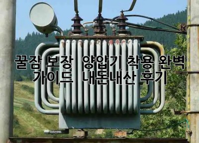 꿀잠 보장! 🛌 양압기 착용 완벽 가이드 💯 (내돈내산 후기)