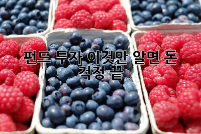 펀드 투자, 이것만 알면 돈 걱정 끝!