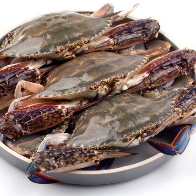 놓치면 후회!🦀 신선한 활꽃게 초특가 득템 후기
